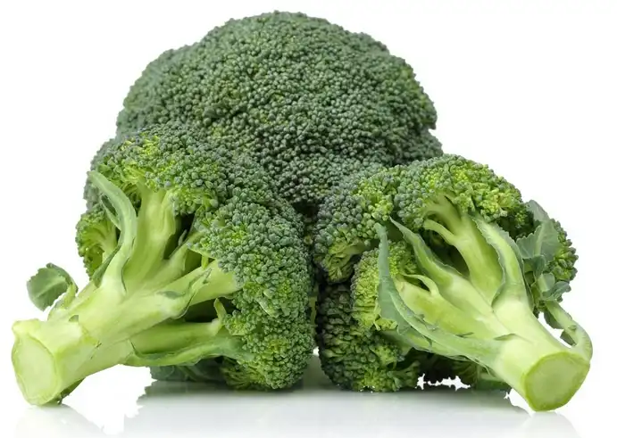 broccoli extract 1.jpg